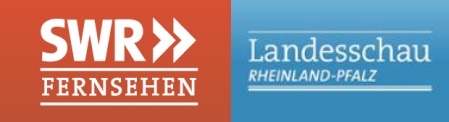 SWR Landesschau, SWR Fernsehen