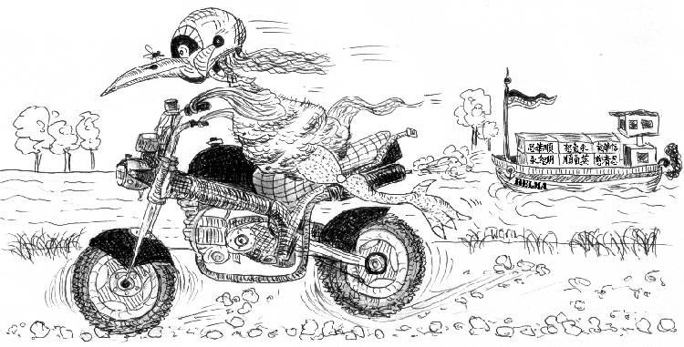 Elwedritsche mit Moped
